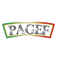Pagef Logo