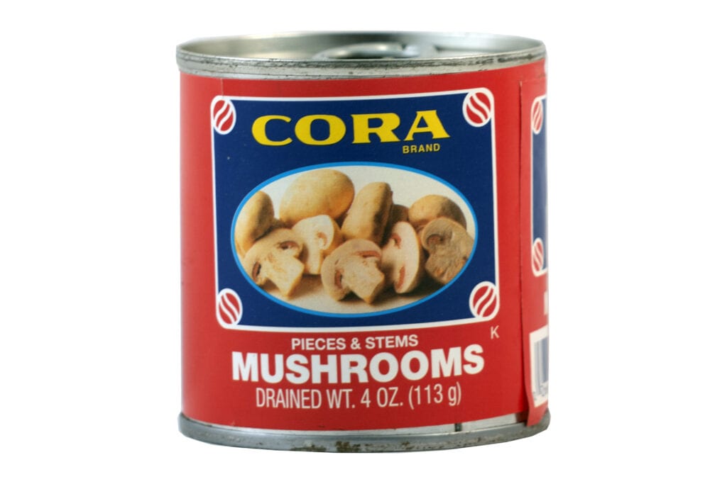 Mushrooms sp